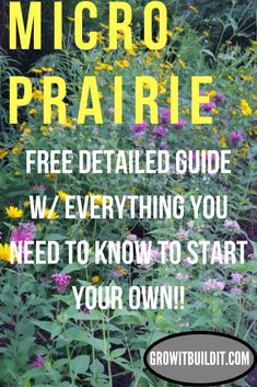 a field full of wildflowers with the text micro prairie free detailed guide w / everything you need to know to start your own