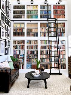 a living room filled with lots of books