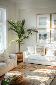 a living room filled with white furniture and a potted palm tree in the corner