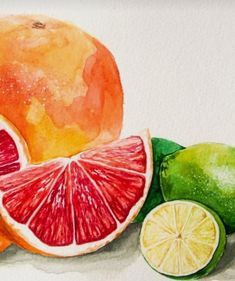 watercolor painting of citrus fruit on white paper with limes and grapefruit