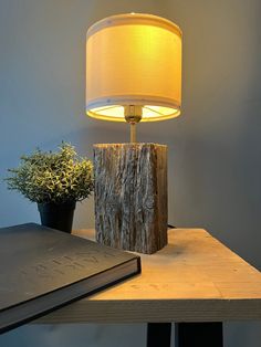 a lamp that is sitting on top of a table next to a book and plant