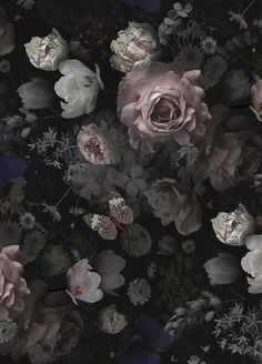 a bunch of flowers that are in the dark