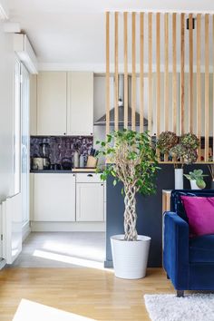 a living room filled with furniture and a potted plant