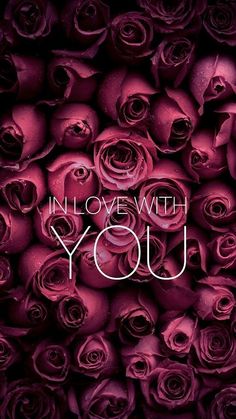 the words in love with you are surrounded by pink roses on a black background that says,