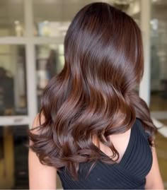 Hazel Nut Hair Color Highlights, Chestnut Mocha Hair, Mocha Chocolate Brown Hair, Dark Brown Hair With Highlights And Lowlights Fall, Moca Brown Hair Color, Cinnamon Brown Hair Color Brunettes, Mocha Brown Hair Balayage, Chestnut Hair Color Dark, Bronze Brown Hair Color