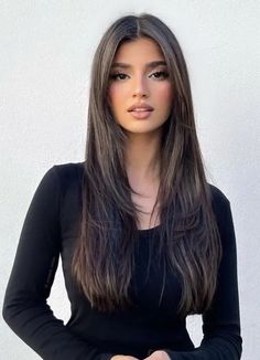 Hair Cuts For Long Straight Dark Hair, Pin Straight Haircuts, Front Layers Long Hair, Haircuts For Long Hair Straight, Haircuts For Long Hair With Layers, Brown Hair Inspo, Hair Inspiration Long, Straight Hair Cuts