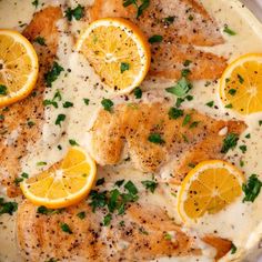 chicken with lemons and parsley in a white sauce