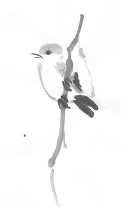 a black and white drawing of a bird