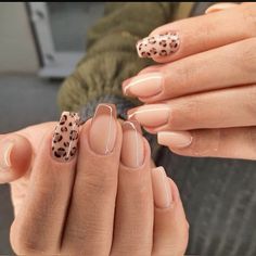 Acrylic Nail Designs Cheetah Print, Tan Cheetah Nails, Safari Inspired Nails, Cheetah Print Acrylics, Cheetah Print Fall Nails, Neutral Cheetah Nails, Jaguar Print Nails, Chetta Print Nail, Leopard Print French Nails