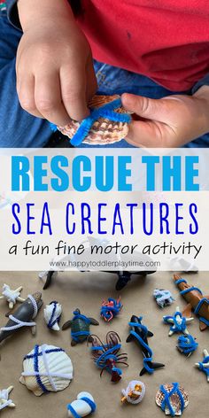 a boy is playing with sea creatures on the beach while holding a toy in his hands