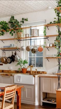 a kitchen filled with lots of green plants and pots on top of wooden shelves next to a window