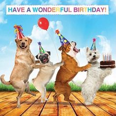 four dogs are standing on their hind legs with birthday hats and balloons in the air