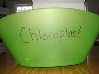 a large green bowl with the word chlorplast written in black on it