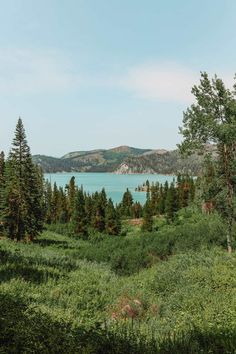 a lake surrounded by trees and grass with mountains in the background