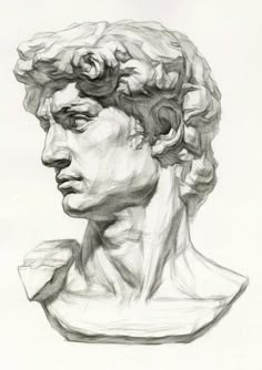 a black and white drawing of a man's head with curls on his hair