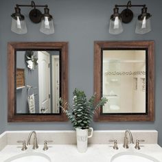 two bathroom sinks with mirrors above them and a potted plant on the counter top