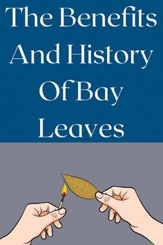 the benefits and history of bay leaves