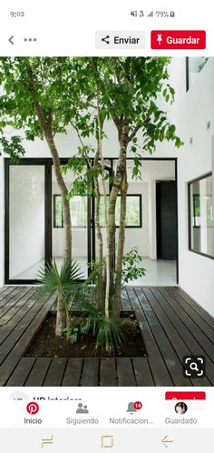 a tree in the middle of a wooden deck next to a white wall and door