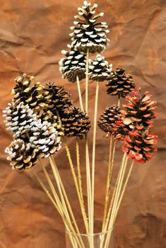 pine cones are arranged in a vase on a brown paper background with white and red flowers