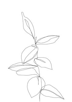 Plant Leaves Drawing, Leaves Drawing, Colour Study, Minimal Plant, Paper Plants, Illustration Botanique, Leaf Drawing, Pola Sulam