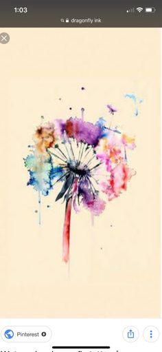 an image of a dandelion with watercolors on it's side