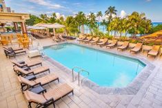 an outdoor swimming pool surrounded by lounge chairs and palm trees with the ocean in the background