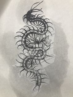 an ink drawing of a snake on paper