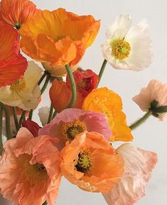 a vase filled with lots of different colored flowers