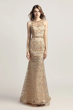 Floor-length Evening Dress With Lace Back For Prom, Fitted Lace Prom Evening Dress, Elegant Scallop Lace Prom Dress, Elegant Lace Dress For Prom Season, Elegant Lace Dress For Prom, Lace Dress For Gala During Prom Season, Elegant Lace Evening Dress With Sheer Bodice, Floor-length Bridesmaid Dress With Lace Bodice, Prom Gown With Lace And Sweep Train