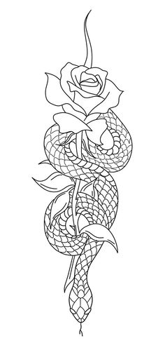 a snake and rose tattoo design on a white background