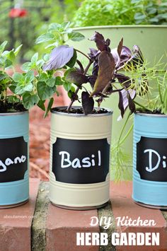 three tin can planters with plants in them