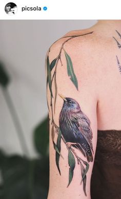 a woman's arm with a bird on it and green leaves around the arm