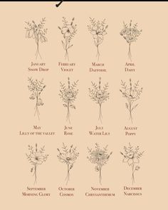 a poster with different types of flowers on it's back side, and the names of each flower