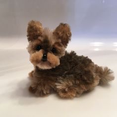 a small brown dog sitting on top of a white table