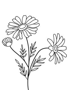 Kid Coloring Page, Book Flowers, Printable Coloring Sheets, Color Magic, Flower Coloring Pages, Flower Doodles, Flower Prints Art, Simple Flowers, Free Printable Coloring