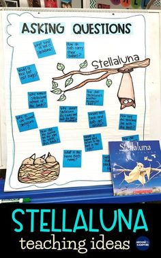 a bulletin board with writing on it that says, asking questions stella luna teaching ideas