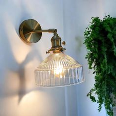 a light that is on the wall next to a potted plant