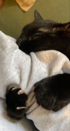 a black cat laying on top of a white blanket