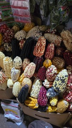 many different types of corn on display for sale