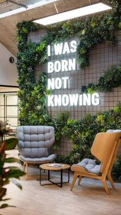 a living room with plants on the wall and two chairs in front of it that say i was born not known