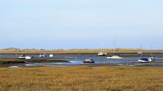 several boats floating on top of a body of water next to tall grass and sand