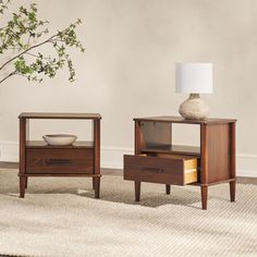 two end tables sitting on top of a rug next to a vase with a plant in it