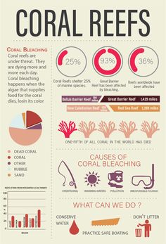 an info sheet with information about coral reefs and what they mean to be in the ocean