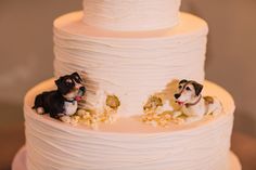 two small dogs are sitting on top of a wedding cake with white frosting and icing