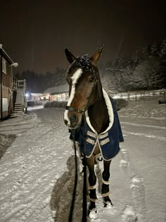 a horse is standing in the snow at night