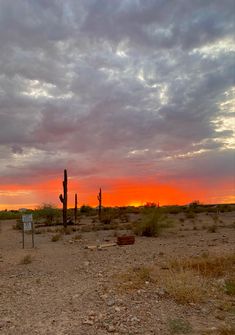 the sun is setting in the desert with cactus trees and signs on the dirt ground