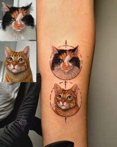 three different pictures of cats on the side of a person's arm, with their faces