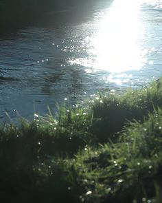 the sun shines brightly on the water and grass in the foreground, as it reflects off the surface of the water