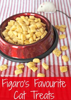 a red bowl filled with cat treats sitting on top of a checkered table cloth