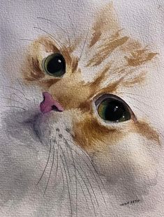 a watercolor painting of a cat's face